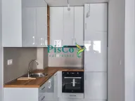 Izdavanje, jednosoban stan, 46m², Stari Aerodrom, Podgorica - image 1