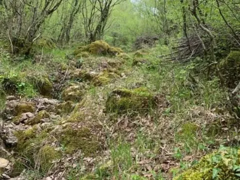 Prodaja, plac, 12000m², Centar, Bar - image 1