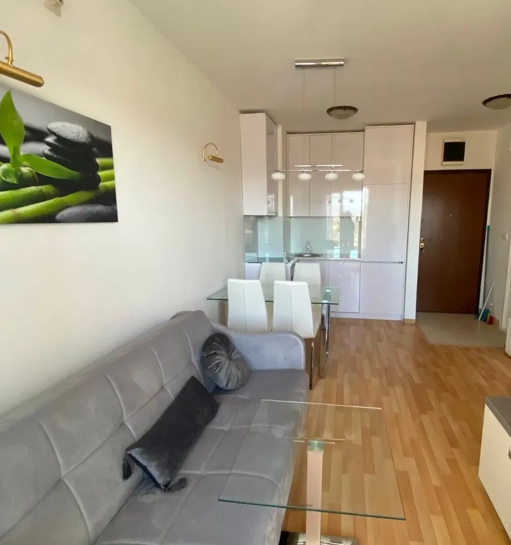 Rent, one bedroom apartment, 36m², Stari Aerodrom, Podgorica