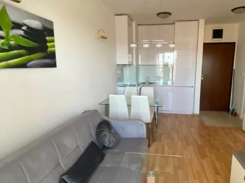 Rent, one bedroom apartment, 36m², Stari Aerodrom, Podgorica - image 7