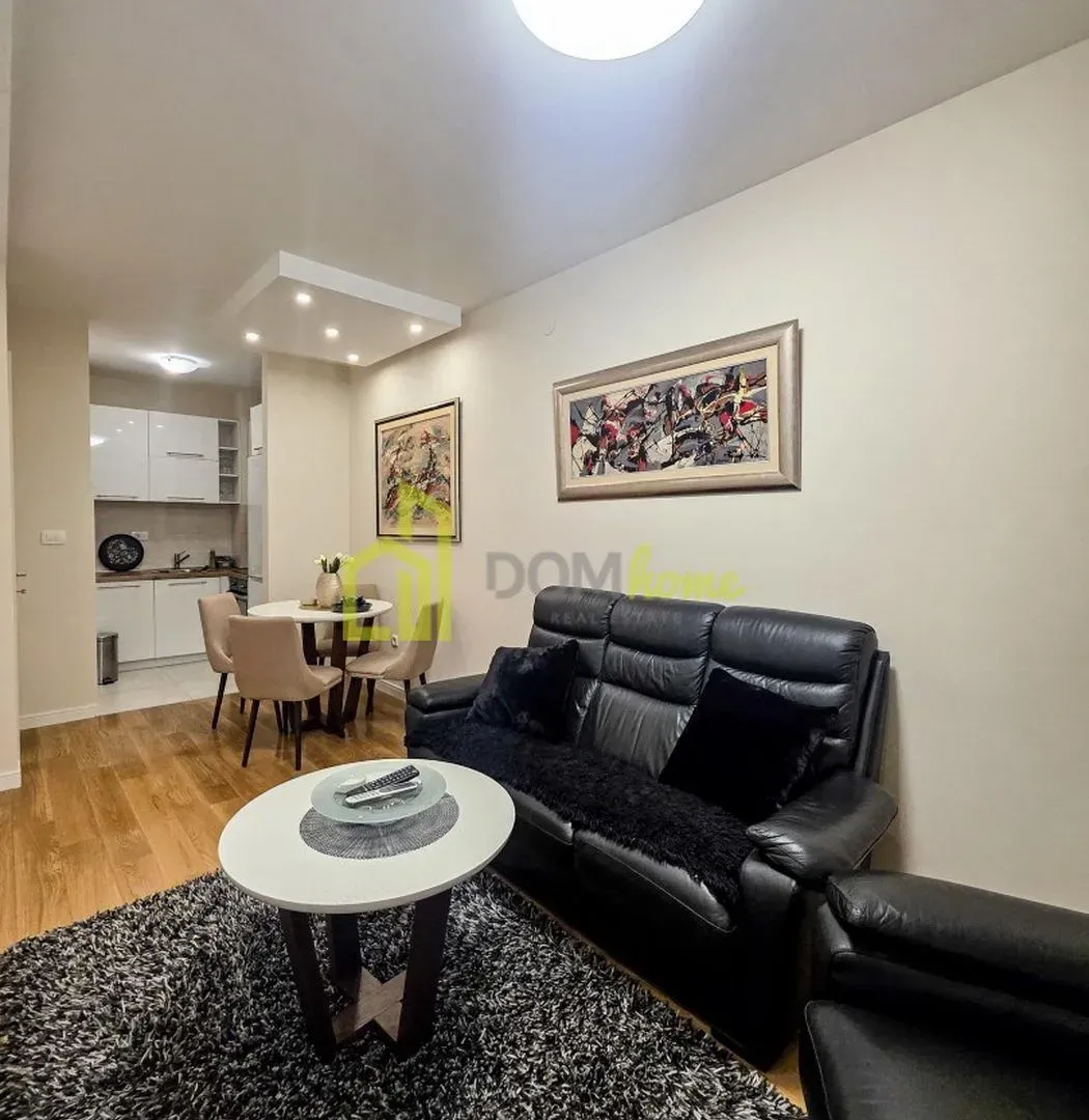 Rent, one bedroom apartment, 43m², Central Point, Podgorica