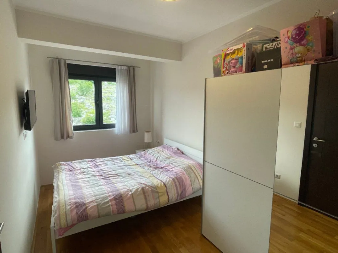 Rent, one bedroom apartment, 45m², Vezirov Most, Podgorica