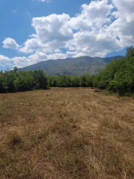 Sale, land lot, 80000m², Slap, Danilovgrad - image 6