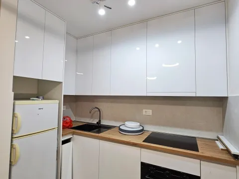 Rent, one bedroom apartment, 40m², Pobrežje, Podgorica - image 2