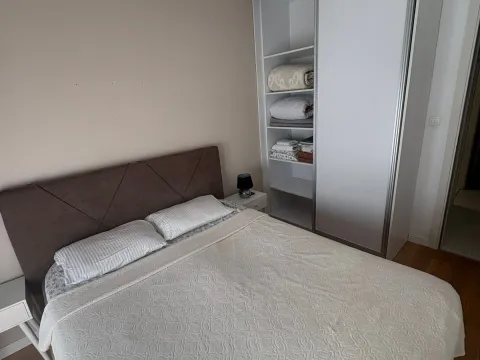 Izdavanje, jednosoban stan, 50m², Central Point, Podgorica - image 4