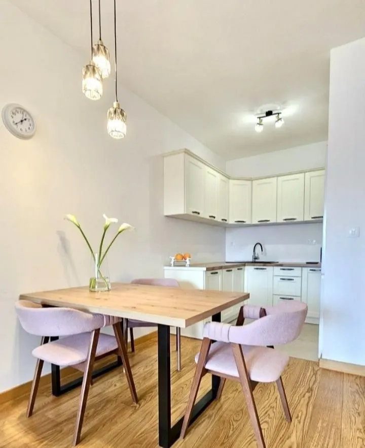 Rent, one bedroom apartment, 46m², New City, Podgorica