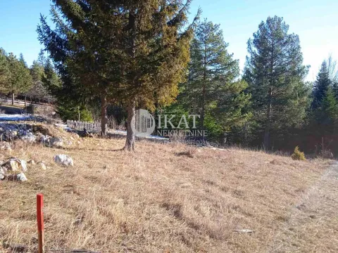 Sale, land lot, 1100m², Tara, Srbija - image 7