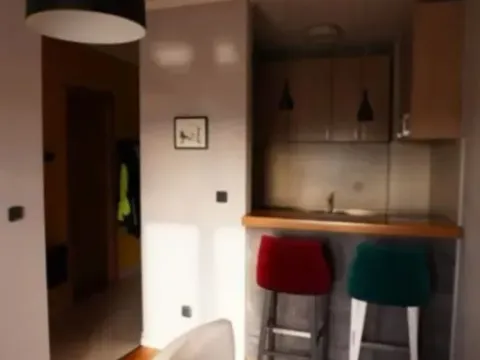 Prodaja, jednosoban stan, 32m², Stari Aerodrom, Podgorica - image 2