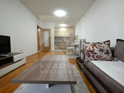 Izdavanje, jednosoban stan, 52m², Stari Aerodrom, Podgorica - image 2