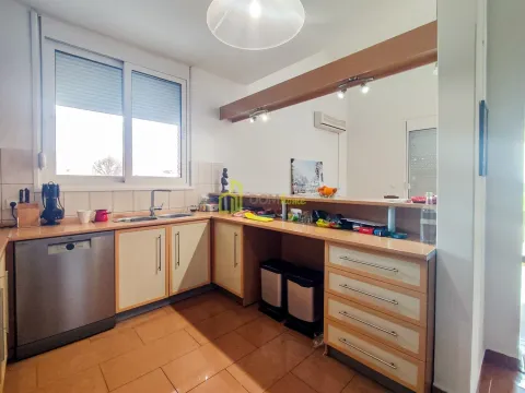 Izdavanje, kuća, 458m², Rogami, Podgorica - image 4