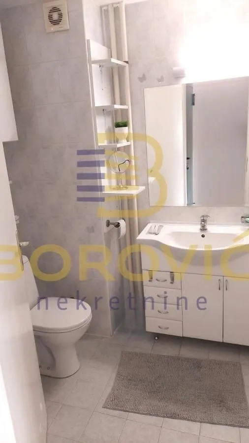 Rent, two bedroom apartment, 56m², Novi Beograd Blok 45, Novi Beograd Sve Podlokacije