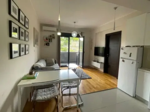 Izdavanje, jednosoban stan, 45m², Centar, Podgorica - image 2