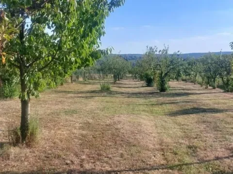Sale, land lot, 1587m², Voždovac Sve Podlokacije, Beograd - image 11