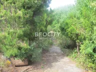 Prodaja, plac, 14m², Višnjica, Palilula Sve Podlokacije - image 2