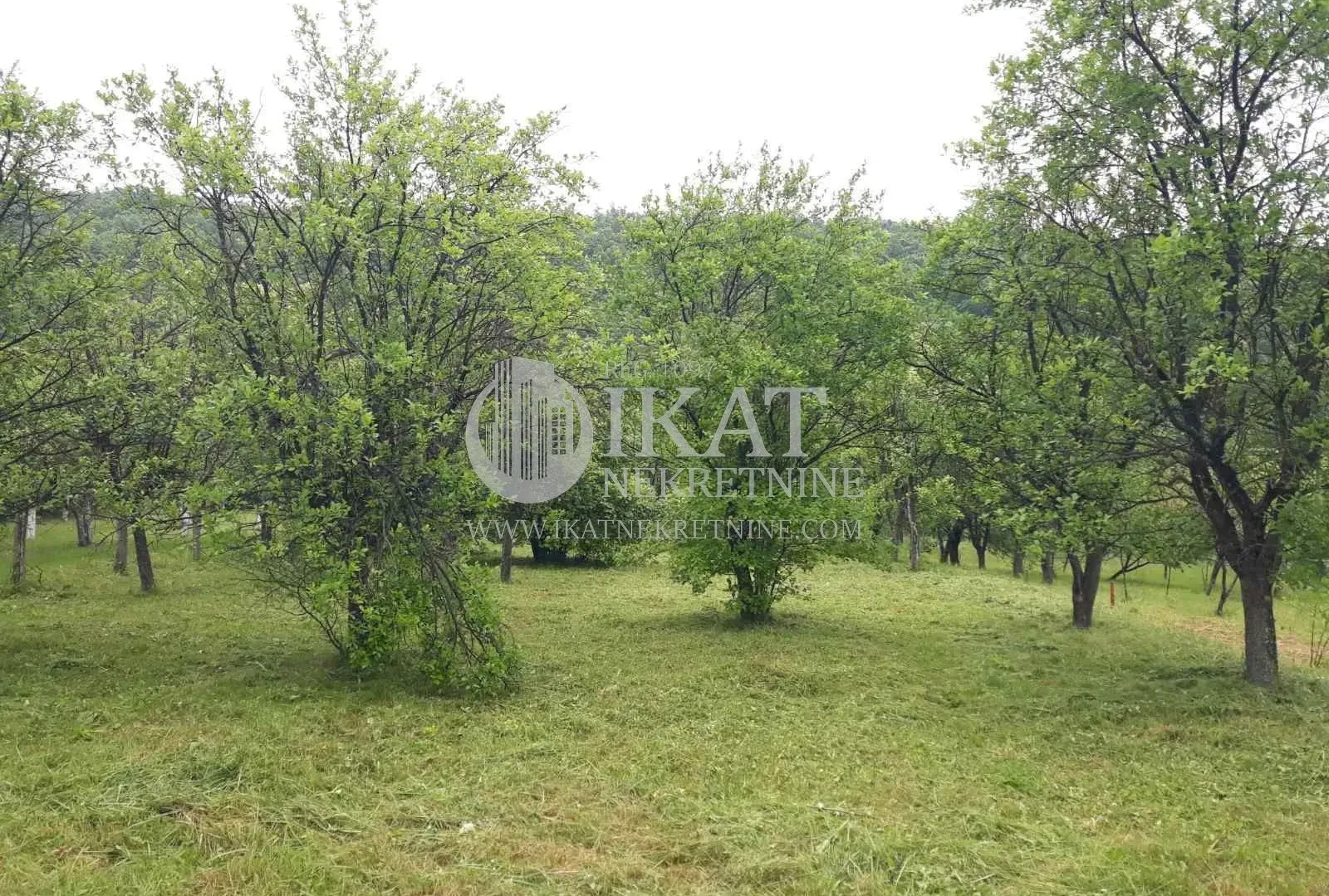 Prodaja, plac, 4000m², Voždovac Sve Podlokacije, Beograd