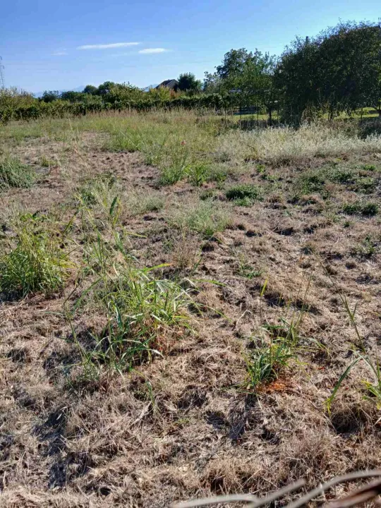 Sale, land lot, 974m², Dahna, Podgorica