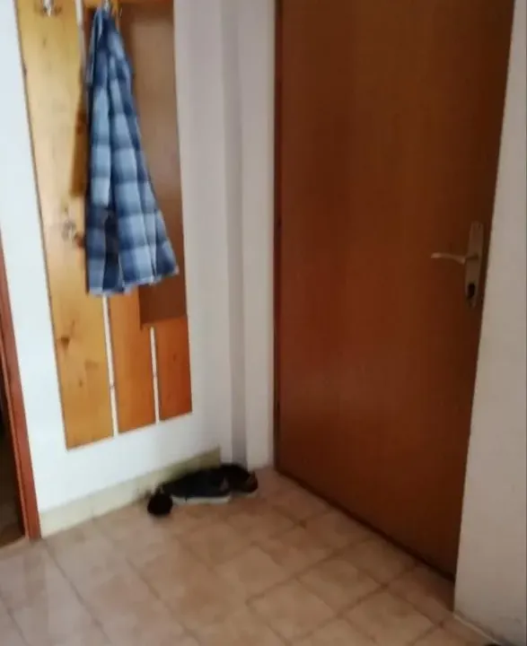 Prodaja, jednosoban stan, 47m², Herceg Novi, Crna Gora