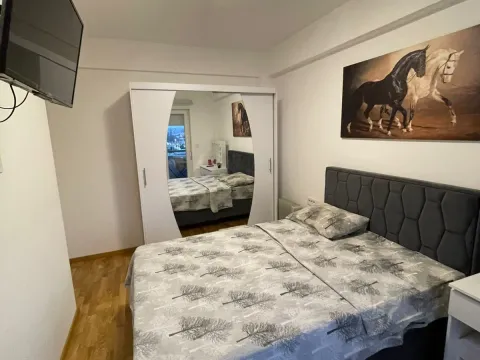 Izdavanje, dvosoban stan, 75m², Zabjelo, Podgorica - image 4