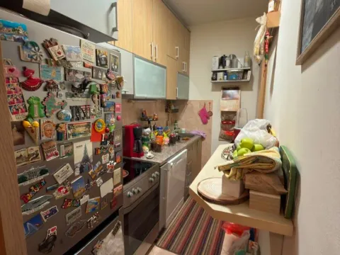 Prodaja, jednosoban stan, 44m², Zabjelo, Podgorica - image 2