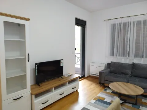 Rent, one bedroom apartment, 59m², Central Point, Podgorica - image 1568