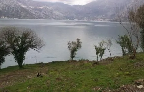 Prodaja, plac, 5890m², Kostanjica, Kotor
