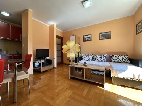 Izdavanje, jednosoban stan, 53m², Preko Morače, Podgorica - image 2