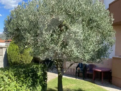 Izdavanje, kuća, 240m², Karaburško Polje, Podgorica - image 15