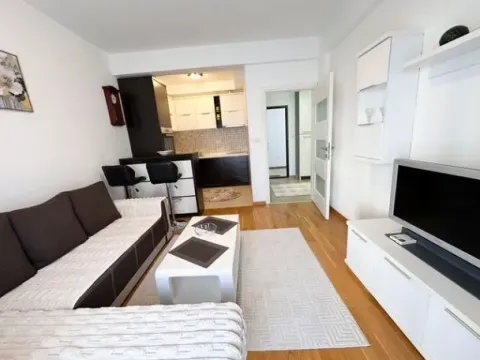 Izdavanje, jednosoban stan, 45m², Podgorica, Crna Gora - image 3