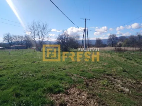 Prodaja, plac, 500m², Danilovgrad, Crna Gora - image 7
