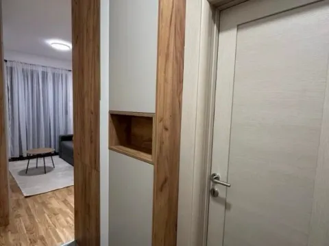 Izdavanje, garsonjera, 24m², Zabjelo, Podgorica - image 8