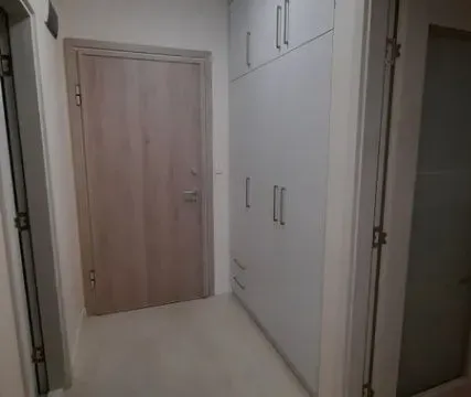 Izdavanje, jednosoban stan, 53m², Central Point, Podgorica - image 6