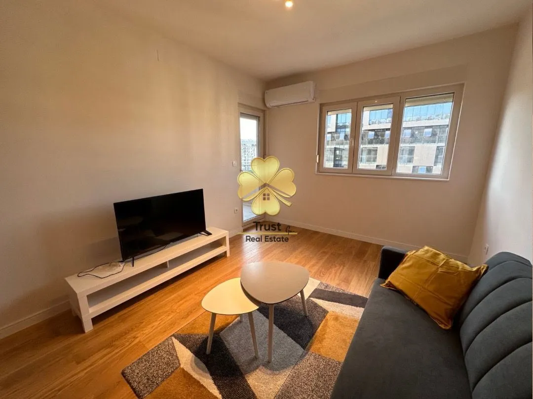 Rent, one bedroom apartment, 47m², Central Point, Podgorica