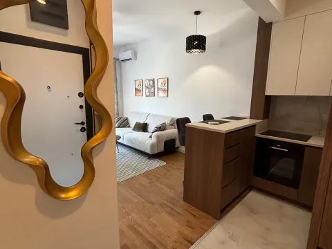 Rent, one bedroom apartment, 37m², Zabjelo, Podgorica - image 6