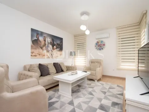 Rent, one bedroom apartment, 54m², Zabjelo, Podgorica - image 2