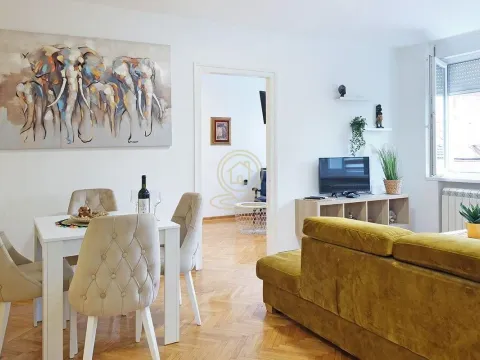 Rent, two bedroom apartment, 45m², Vračar Hram, Vračar Sve Podlokacije - image 3