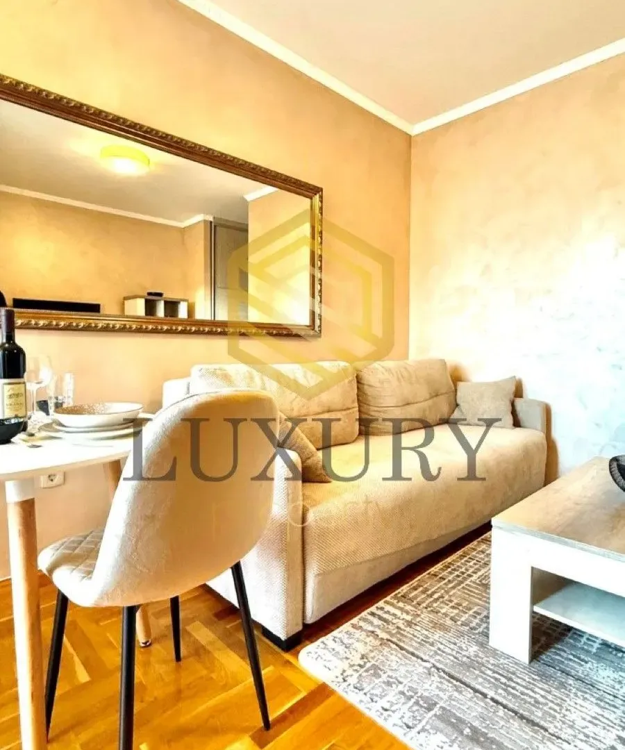 Rent, studio apartment, 30m², Zagorič, Podgorica