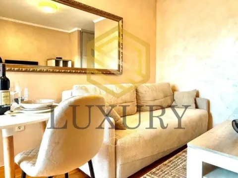 Rent, studio apartment, 30m², Zagorič, Podgorica - image 1