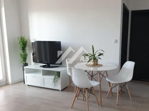 Rent, one bedroom apartment, 40m², Telep, Novi Sad Sve Podlokacije - image 4