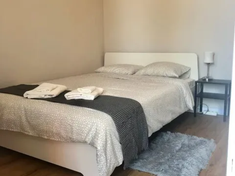 Izdavanje, dvosoban stan, 48m², Novi Beograd Sve Podlokacije, Beograd - image 8