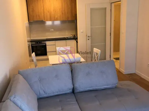 Izdavanje, jednosoban stan, 46m², Central Point, Podgorica - image 4
