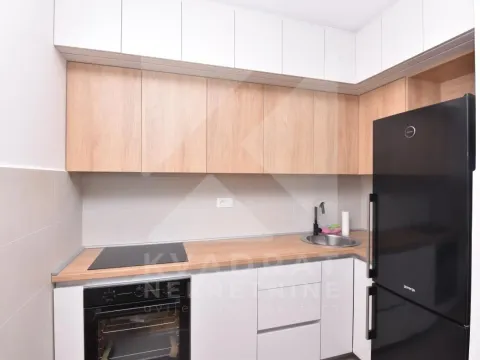 Izdavanje, jednosoban stan, 40m², Tuški Put, Podgorica - image 4