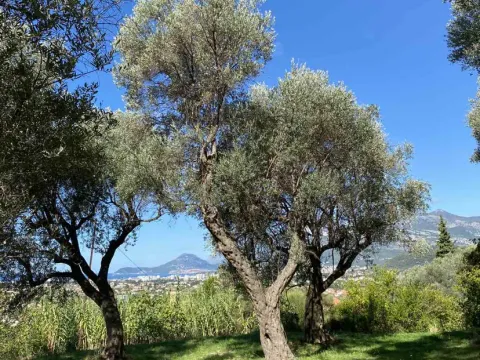 Prodaja, plac, 3770m², Zaljevo, Bar - image 15