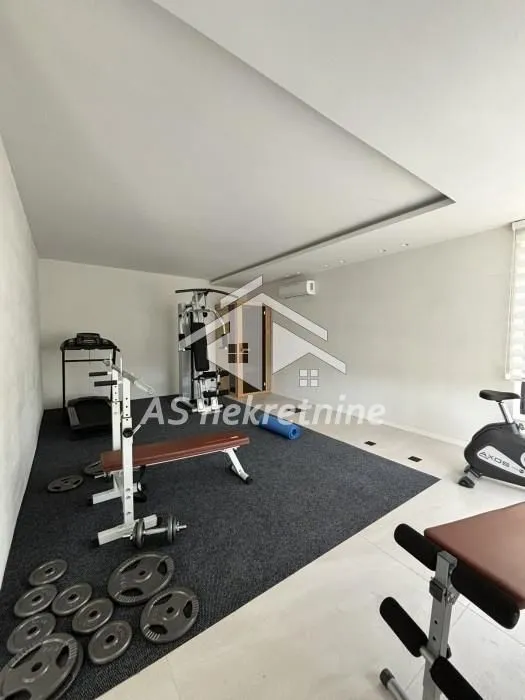 Izdavanje, stan, 200m², Senjak, Beograd