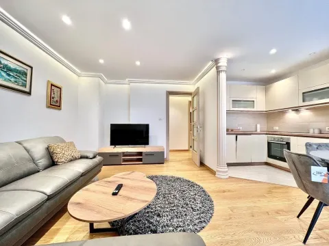 Bright living room with an open-plan kitchen. - image 6