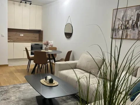 Izdavanje, jednosoban stan, 43m², City Kvart, Podgorica - image 4