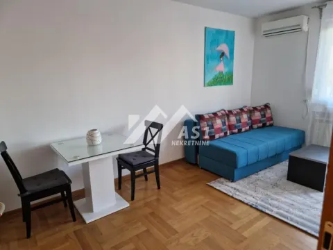 Izdavanje, dvosoban stan, 45m², Centar, Novi Sad - image 3
