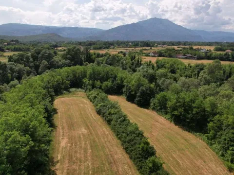 Prodaja, plac, 9609m², Danilovgrad, Crna Gora - image 5