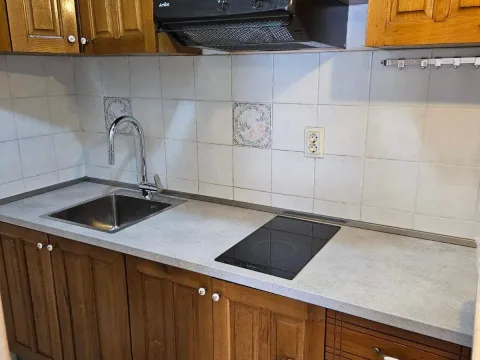 Izdavanje, jednosoban stan, 53m², Golubovina, Budva - image 5