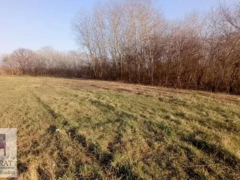 Prodaja, plac, 800m², Obrenovac, Beograd - image 2