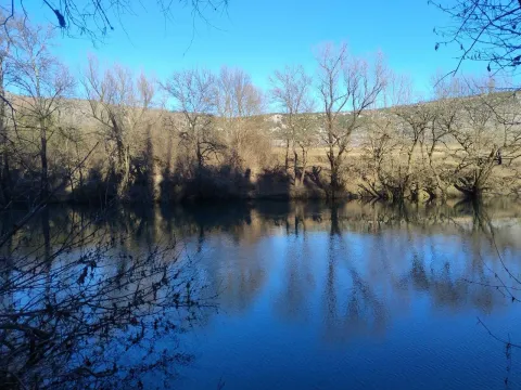 Prodaja, plac, 6100m², Orja Luka, Danilovgrad - image 2